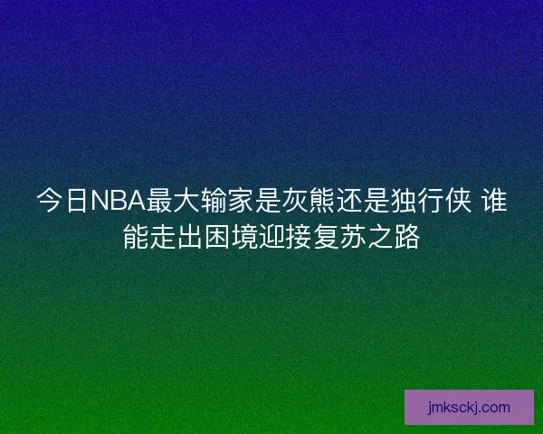 今日NBA最大输家是灰熊还是独行侠 谁能走出困境迎接复苏之路